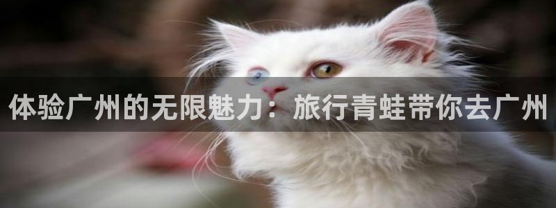 海角社区污：体验广州的无限魅力：旅行青蛙